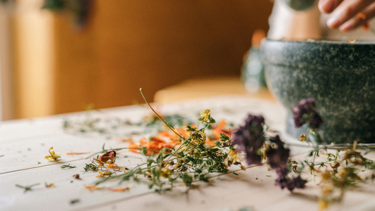 Les extraits de plantes : la quintessence végétale au service du bien-être